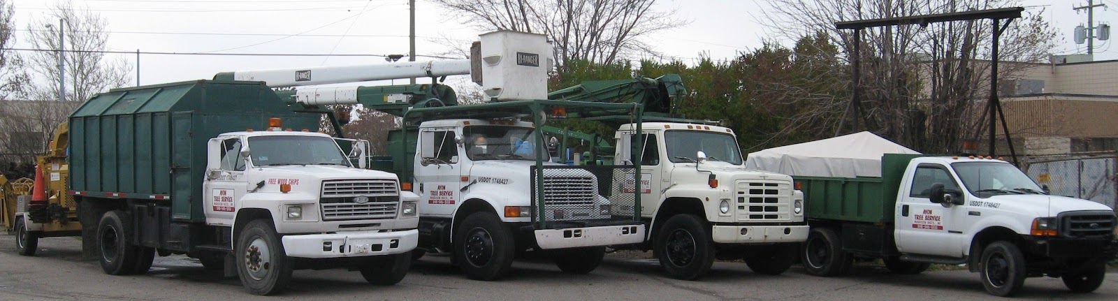 Avon Tree Service LLC — photo