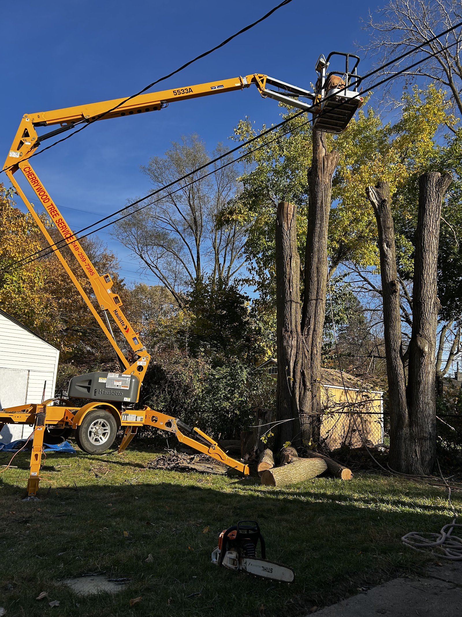 Cherry wood tree service — photo