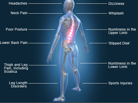 Chiropractic Corrections in Madison Heights