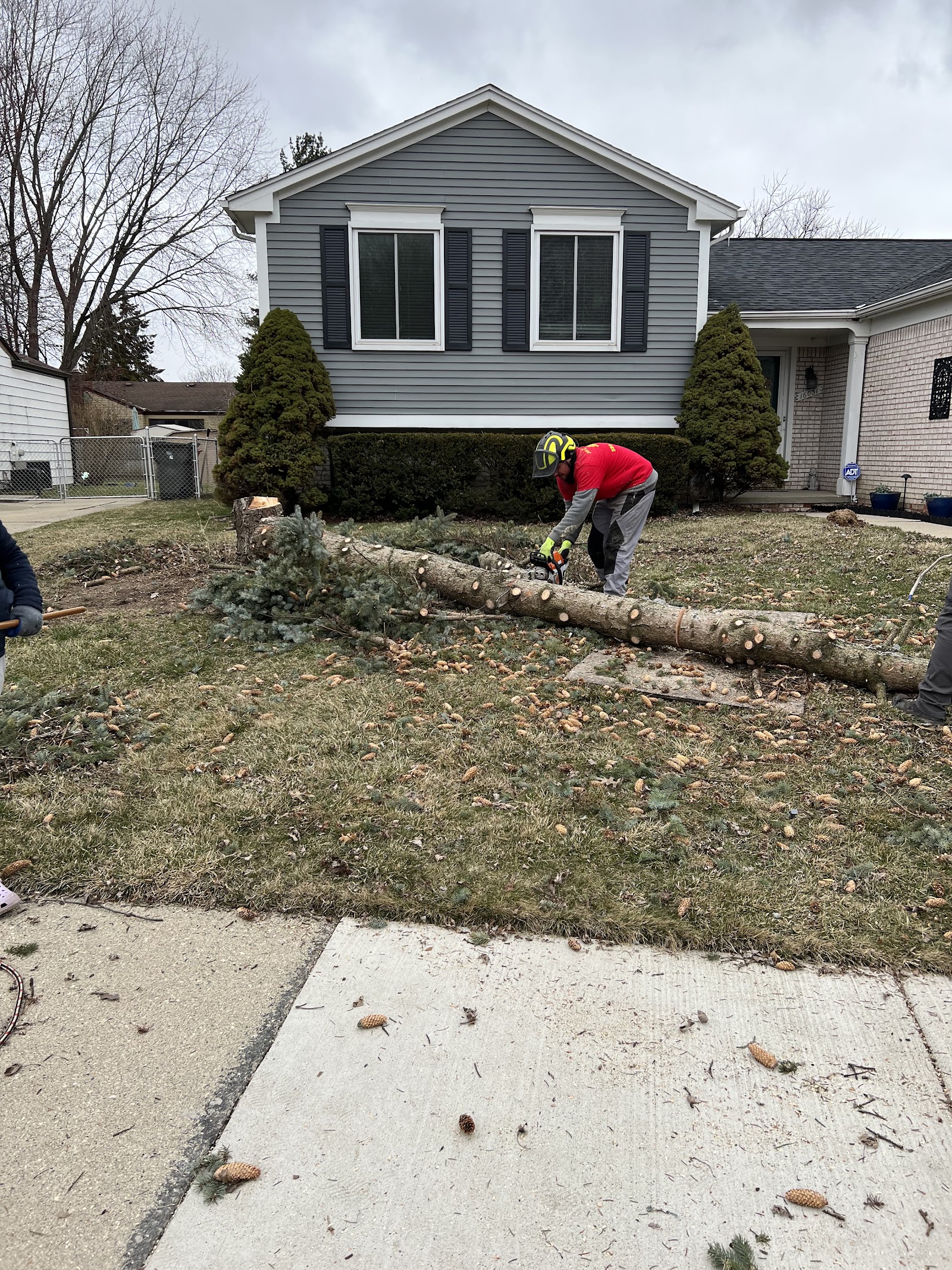 JD's Yard Men LLC — photo
