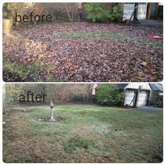 Mr. B's Outdoor Services & Exterior Cleaning in