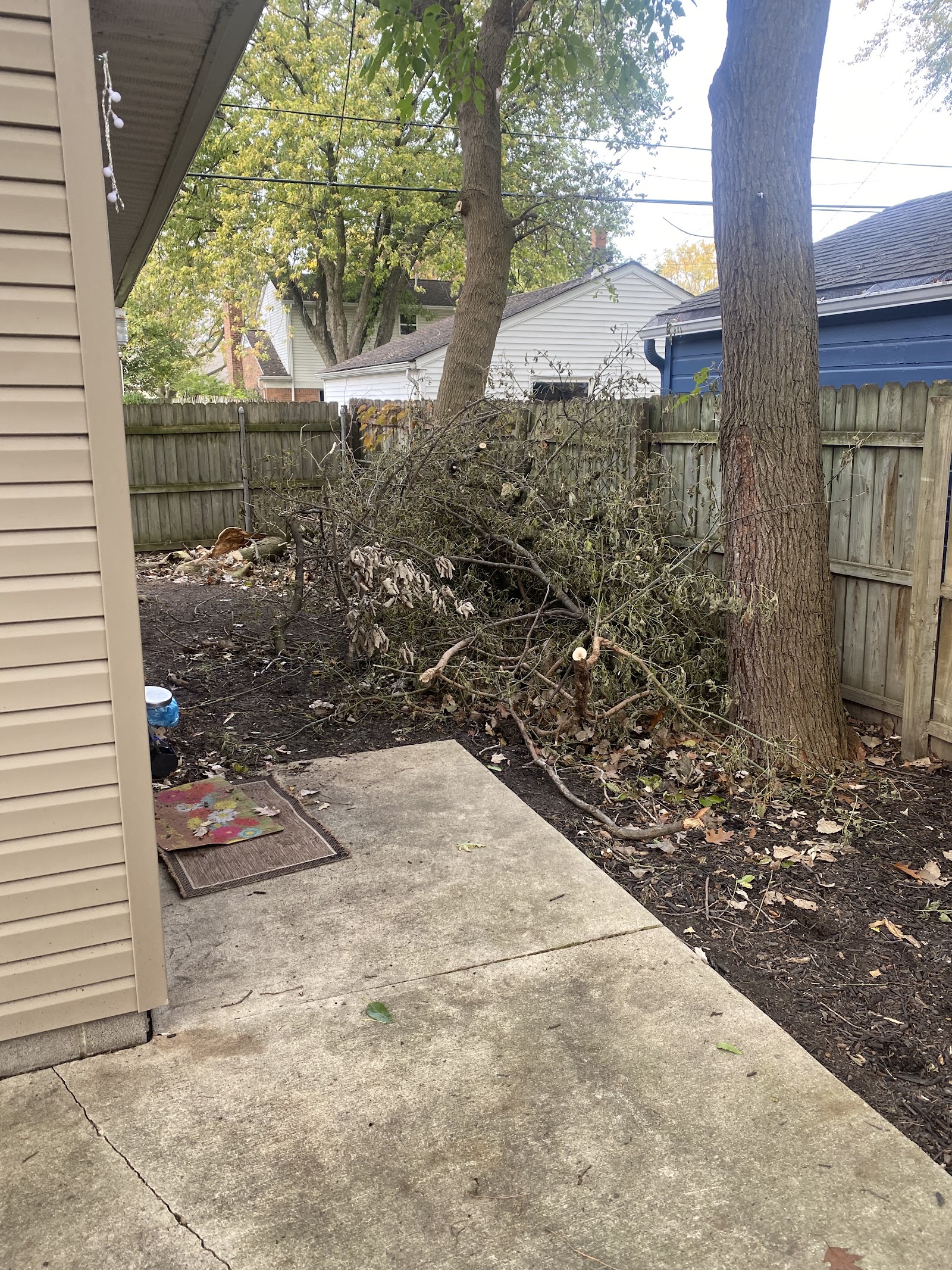 NORTHERN STAR LANDSCAPING — photo
