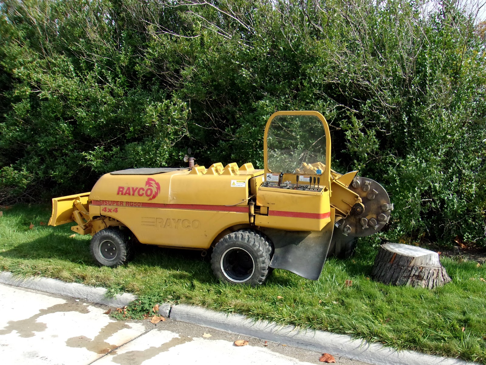 Novak Stump Grinding — photo