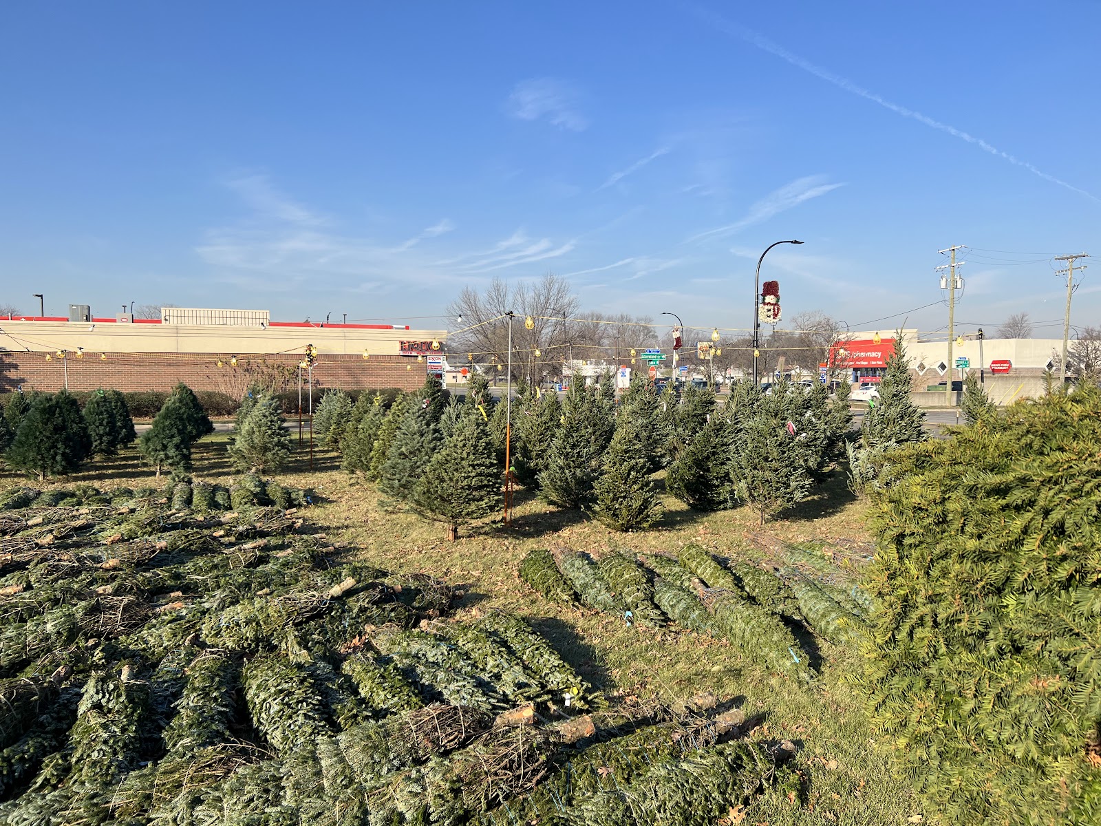 Vultaggio Royal Tree Farms LLC - Christmas Tree Lot — photo