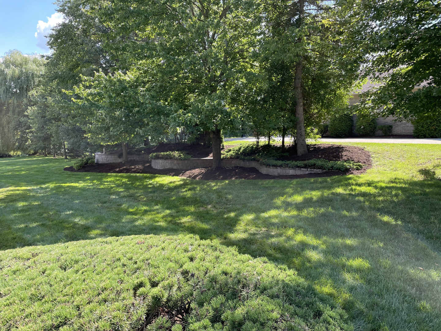 Yardners Lawn Maintenance — photo